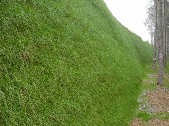 "美丽公路建设"绿化是关键,三维土工网垫绿化好帮手